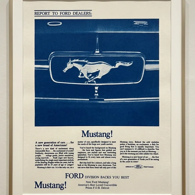 Ford Mustang 1965 front grille honeycomb pattern — Illustrative photo in a frame. The frame is not included.