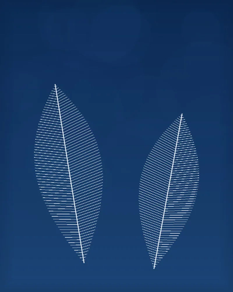 Dvojice pírek #BlueprintFeather02