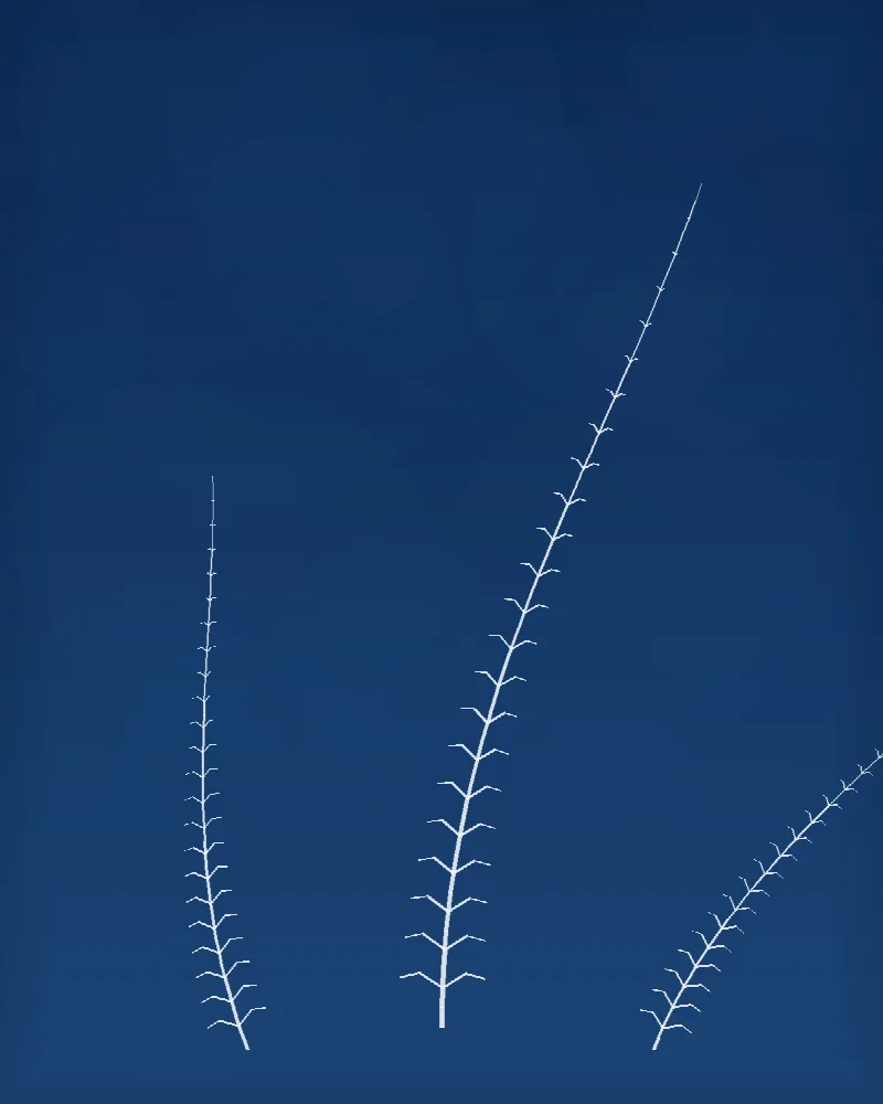 Kapradí ve třech listech #BlueprintFern01