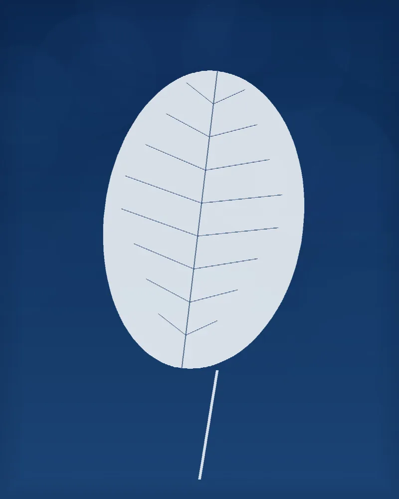 Velký list #BlueprintLeaf01
