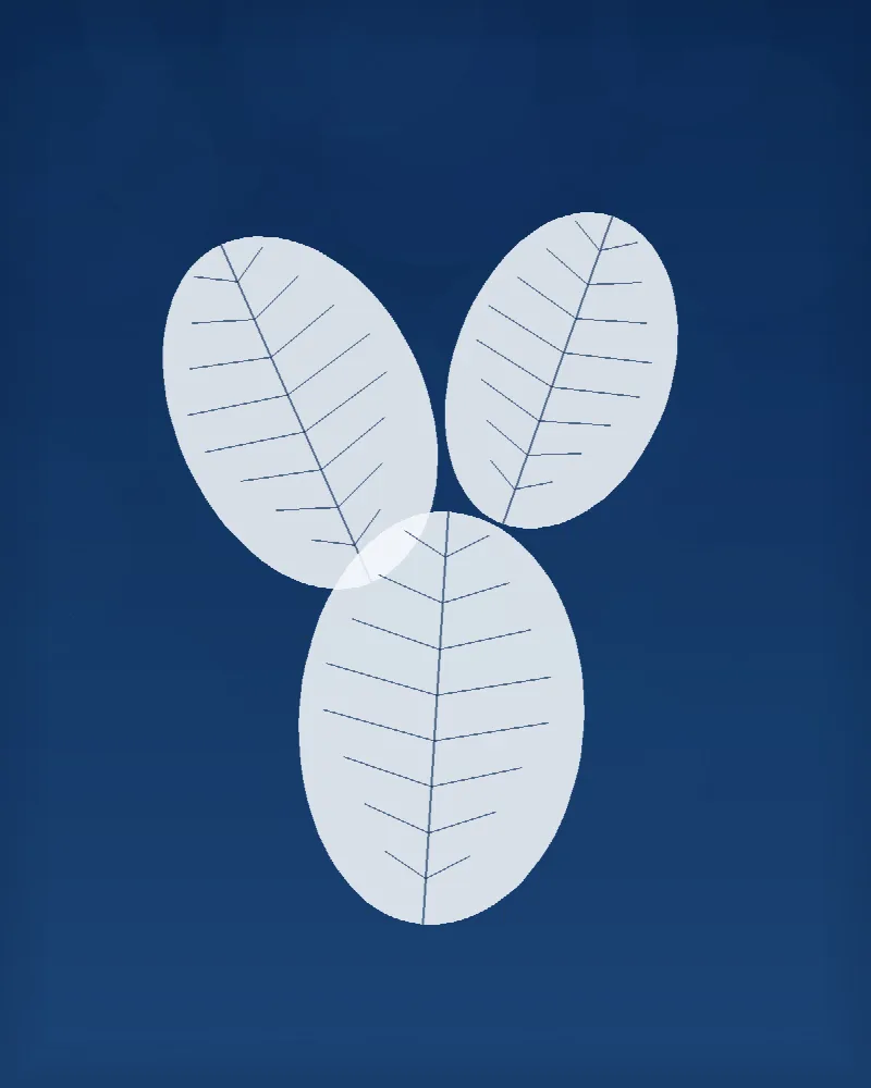 Tři listy na papíře #BlueprintLeaf02