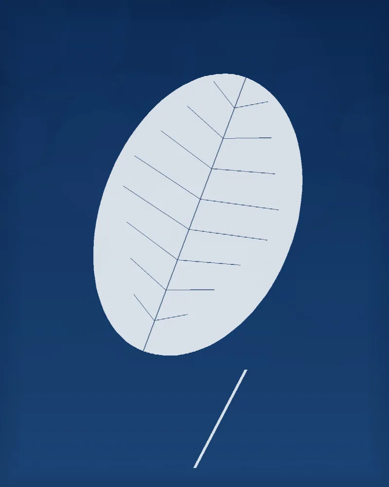 List s výraznou žilnatinou #BlueprintLeaf03
