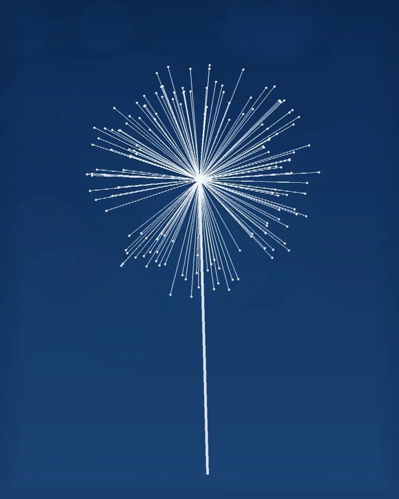 Odkvetlá hlavička #BlueprintSeedHead01